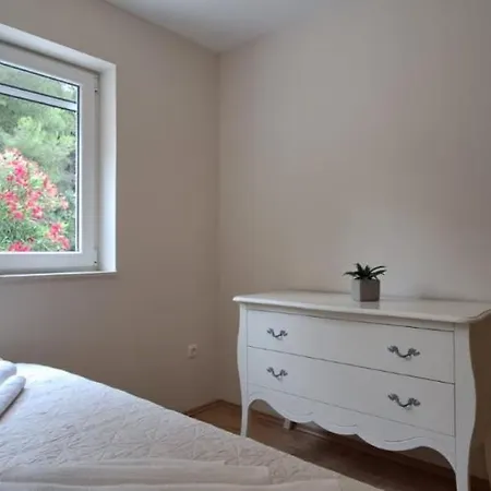 Capital تروغير